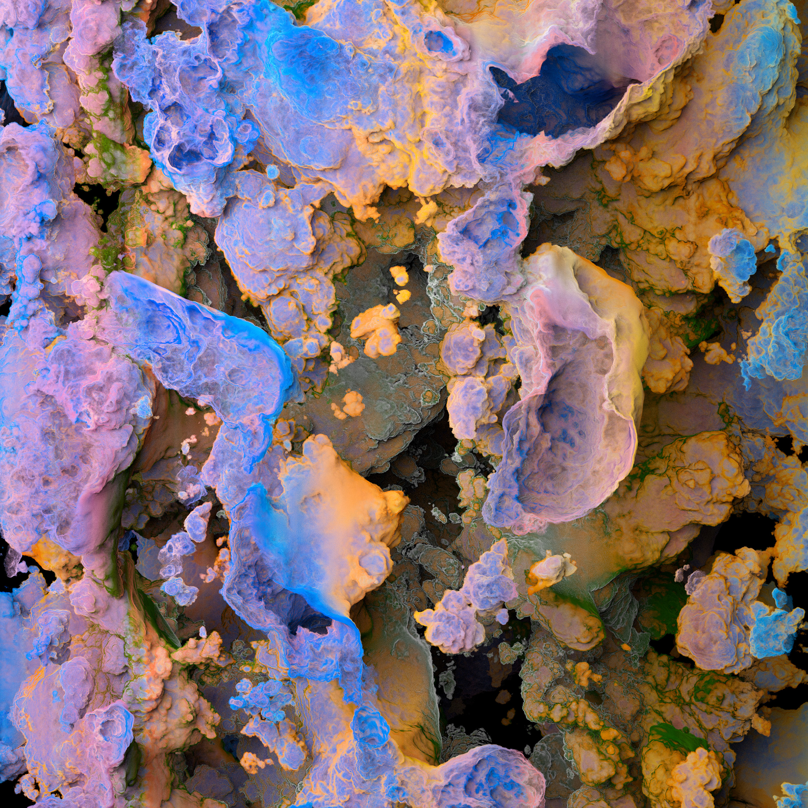 Colorful mold on Behanceb9ca6c82913747.5d2c890c67ddf.jpg