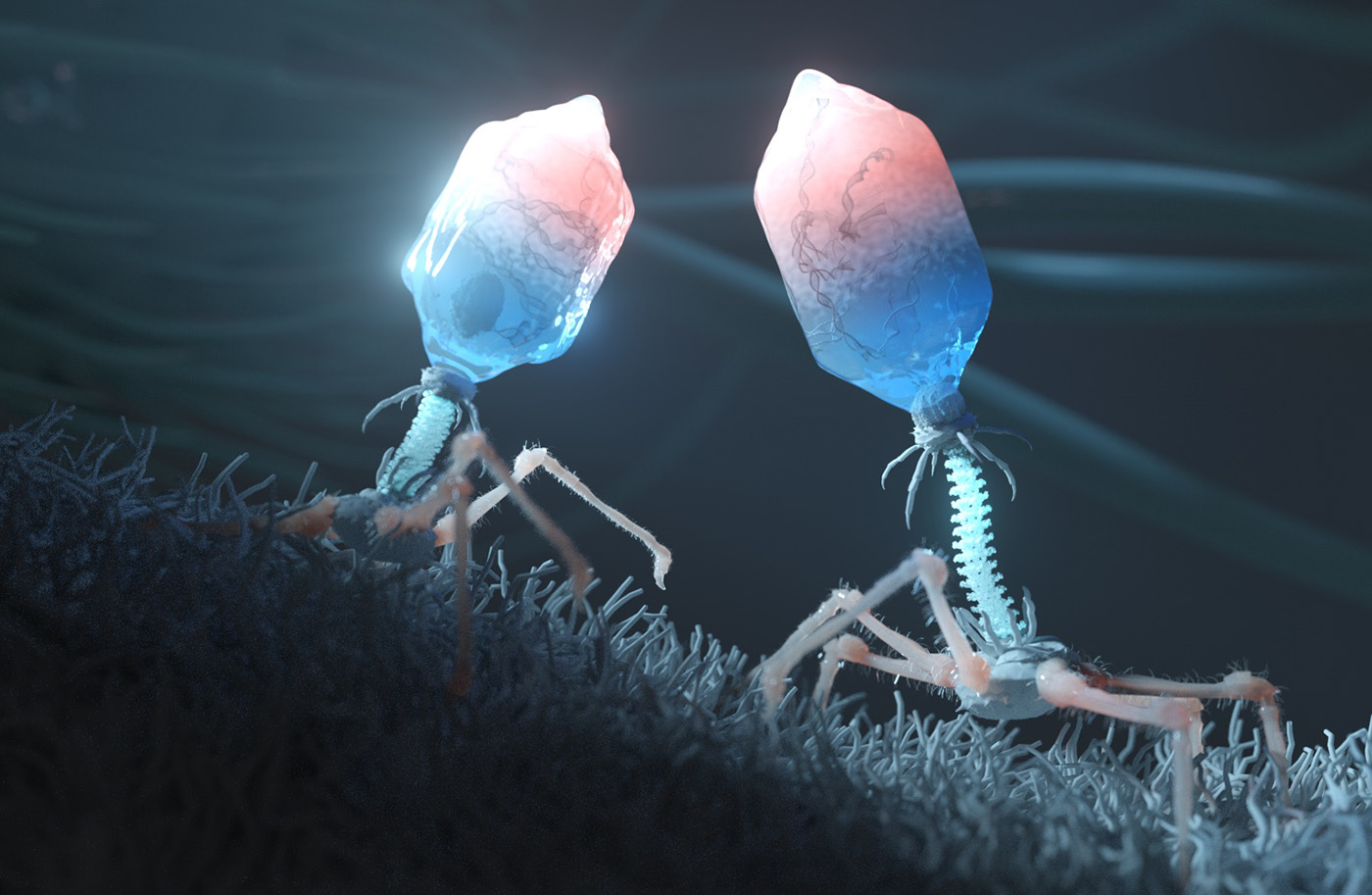 Bacteriophage on Behance6ad5be91989697.5e403bc231bf4.jpg