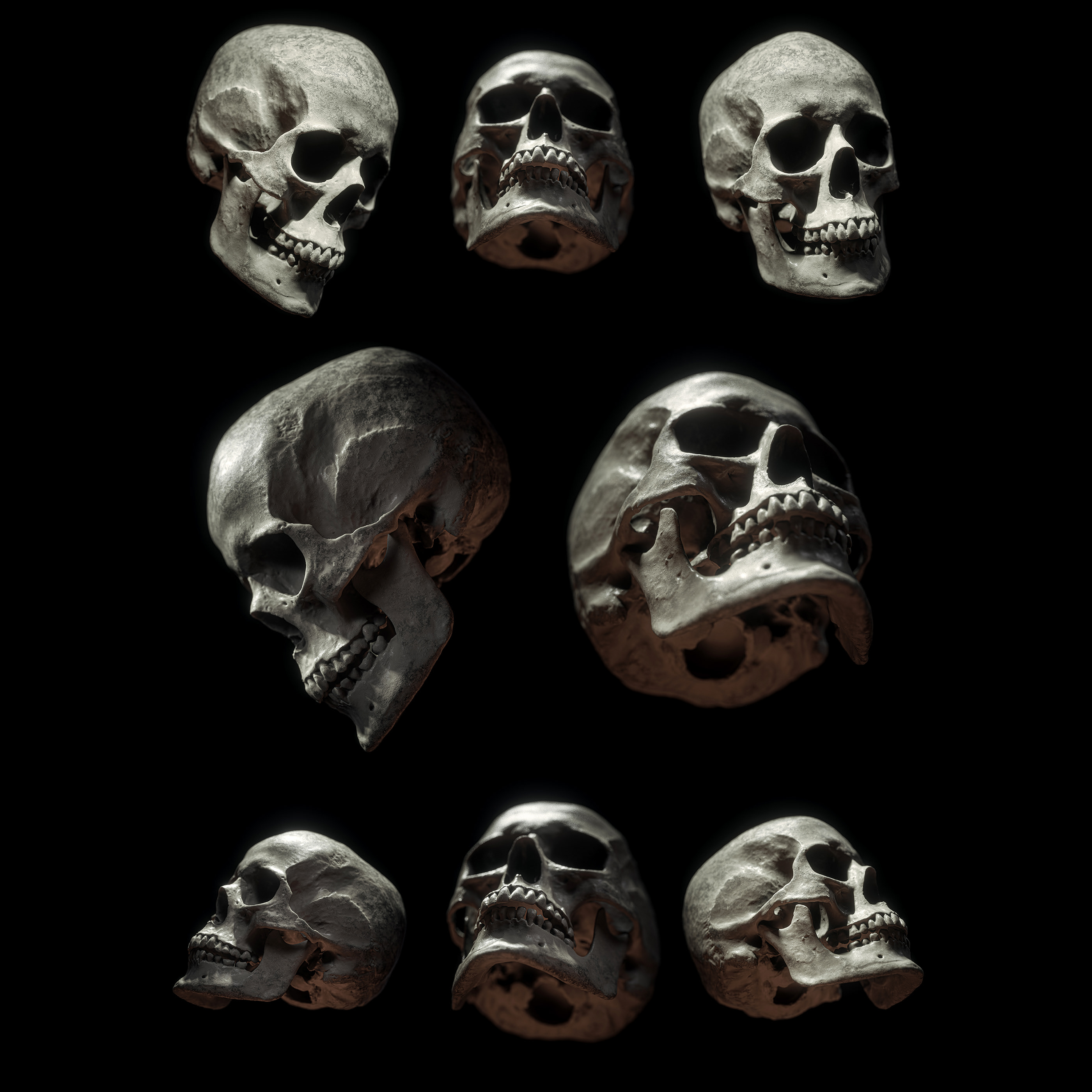 Billelis Skull Photo Stock Pack on Behancef61ba593238317.5e5fa98d1c2de.jpg