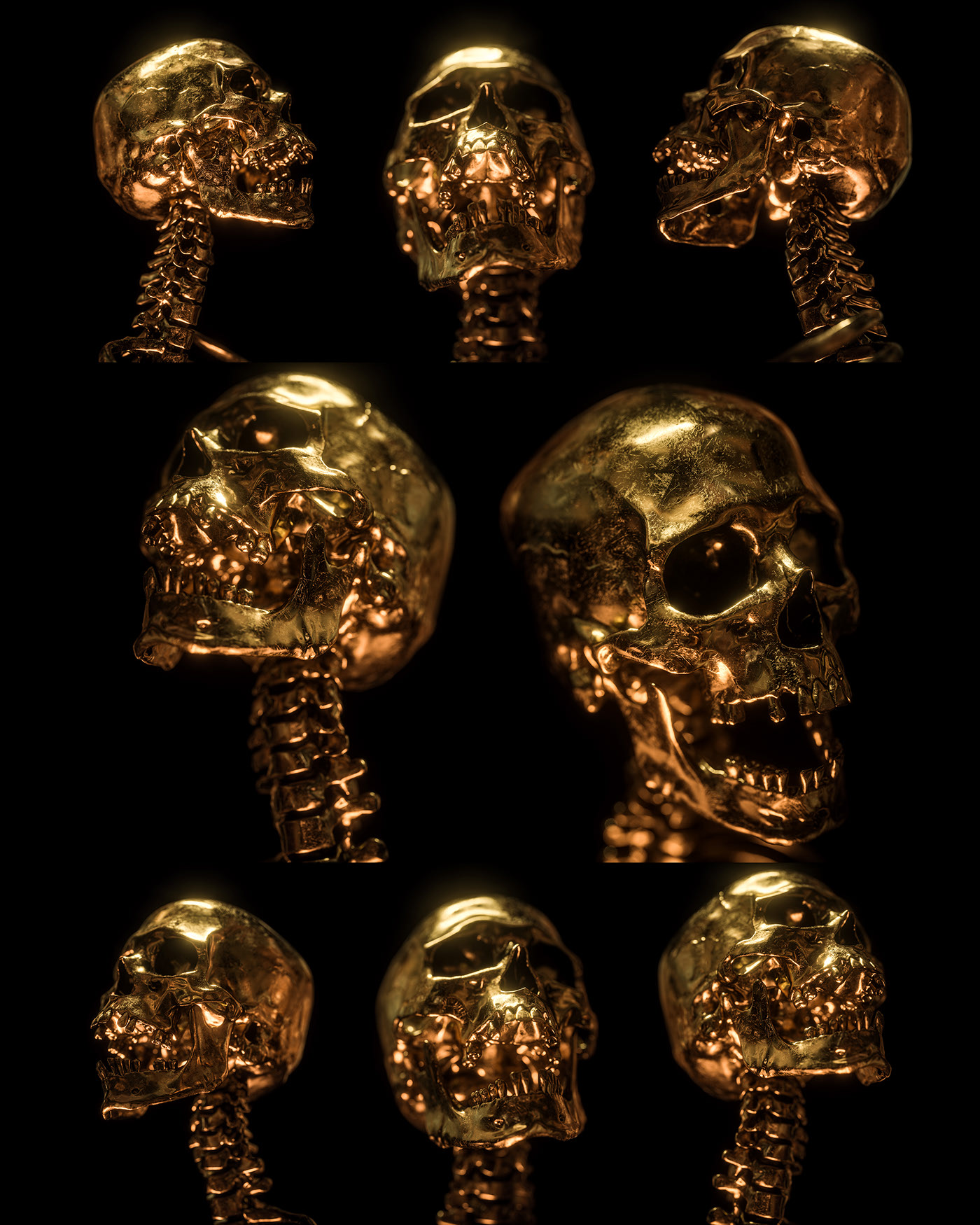 Billelis Skull Photo Stock Pack on Behance432e4693238317.5e5fa4cd10528.jpg