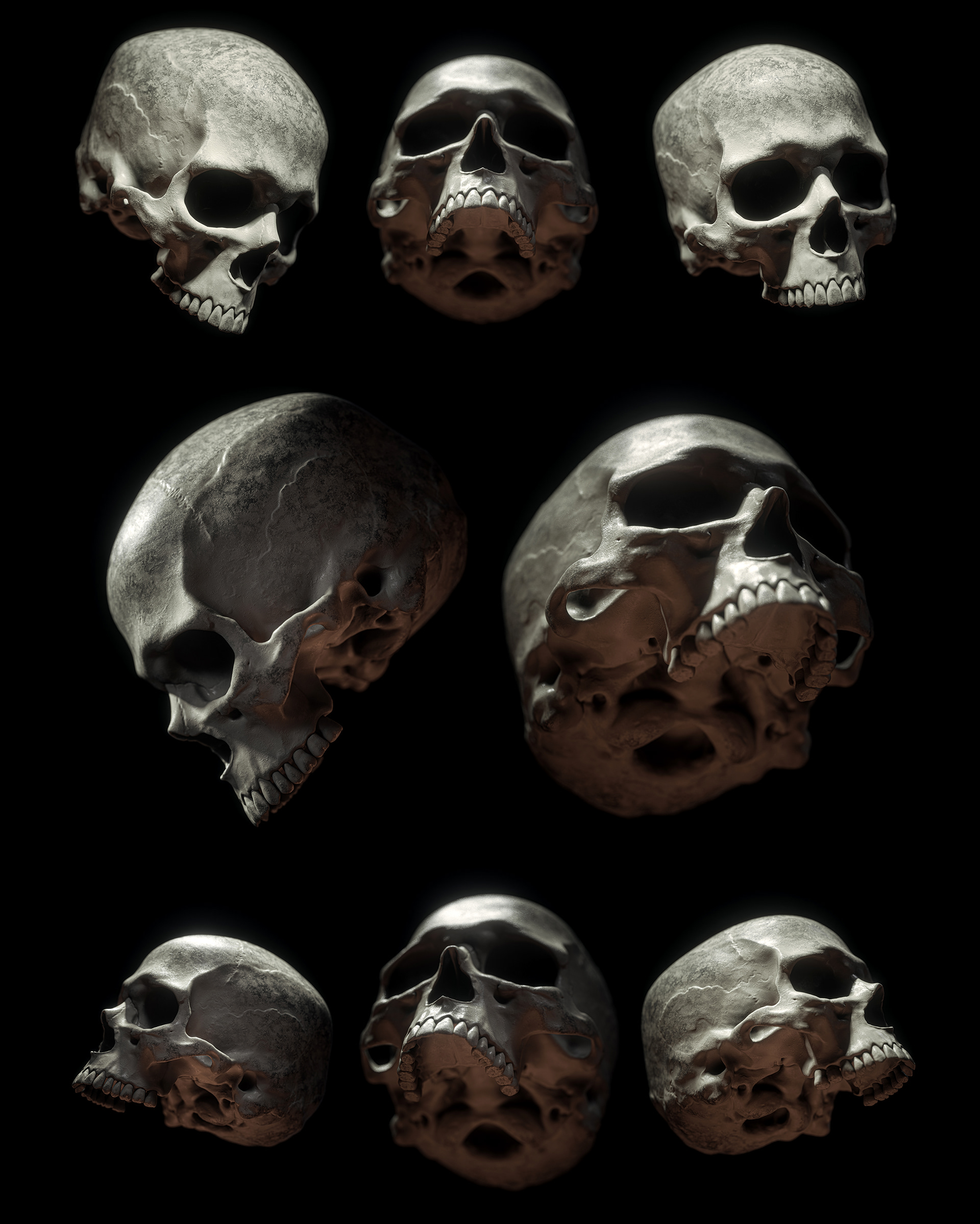 Billelis Skull Photo Stock Pack on Behance7db53d93238317.5e5fa425e868f.jpg