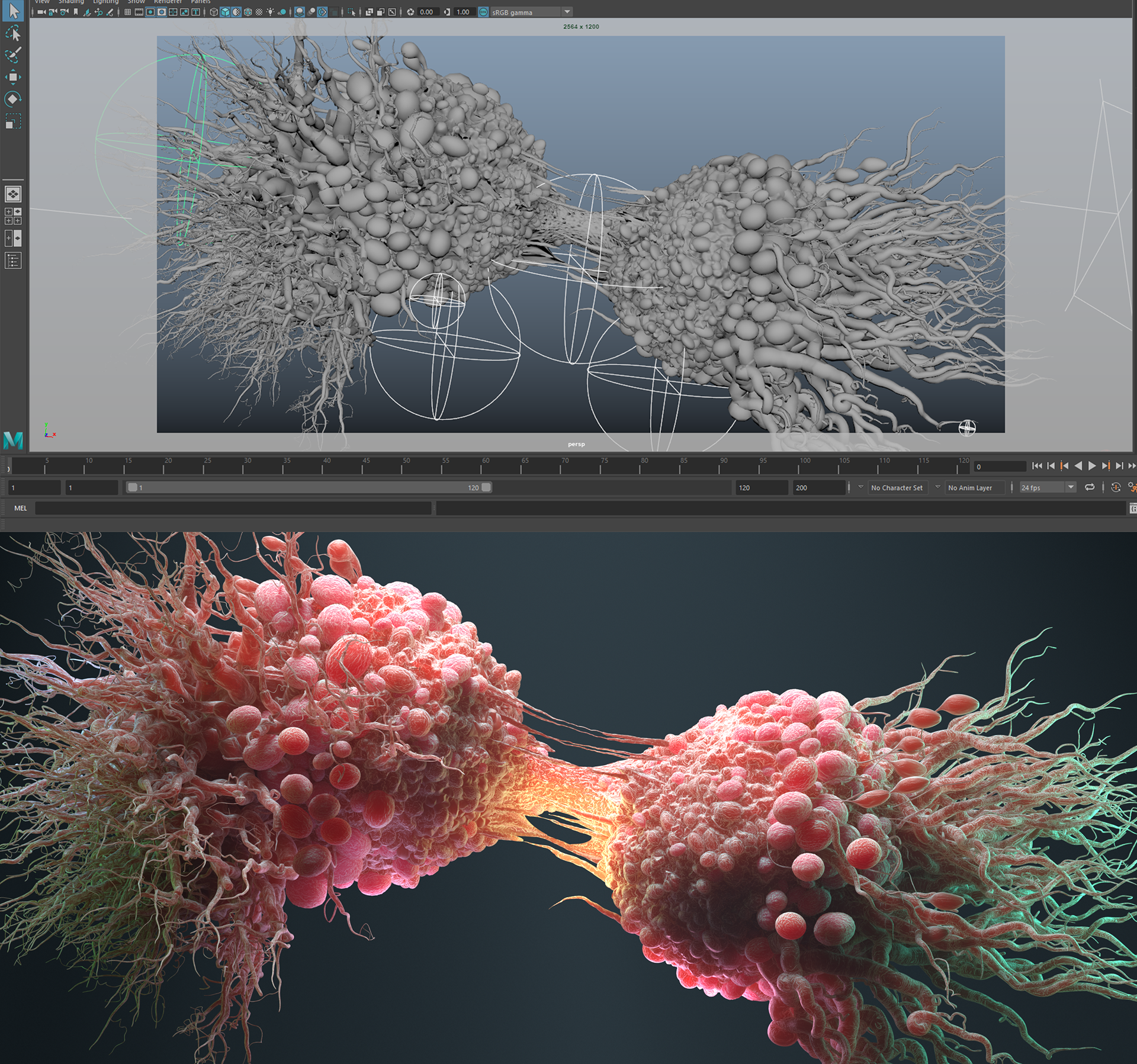 Cancer Cell Division on Behance95632b77860021.5c93c1e6d6a1f.png