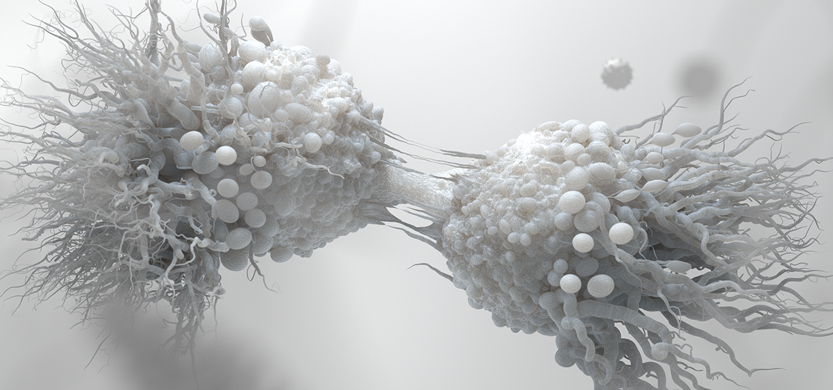 Cancer Cell Division on Behance8b234f77860021.5c93c1e5e42fb.png