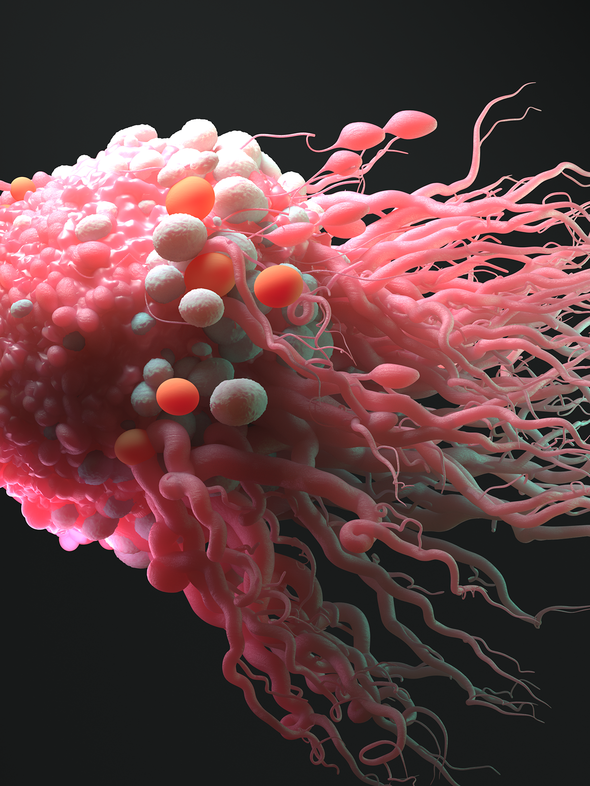Cancer Cell Division on Behance2b935b77860021.5c93c1e5e7d12.png