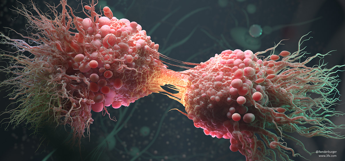 Cancer Cell Division on Behance75cce777860021.5c93c1e5e7a99.jpg