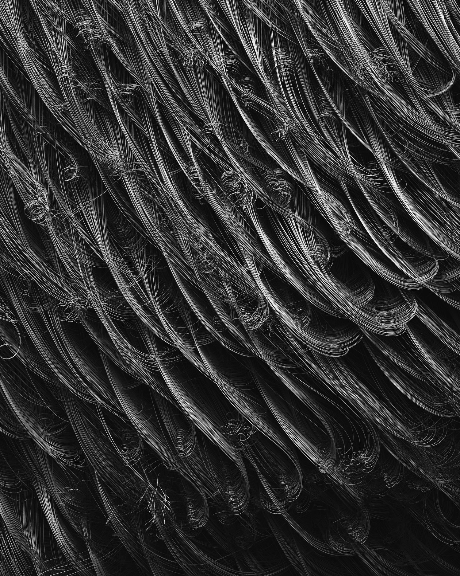 黑白线条立体毛发蜷曲集群[05-08-17]-Wired.jpg