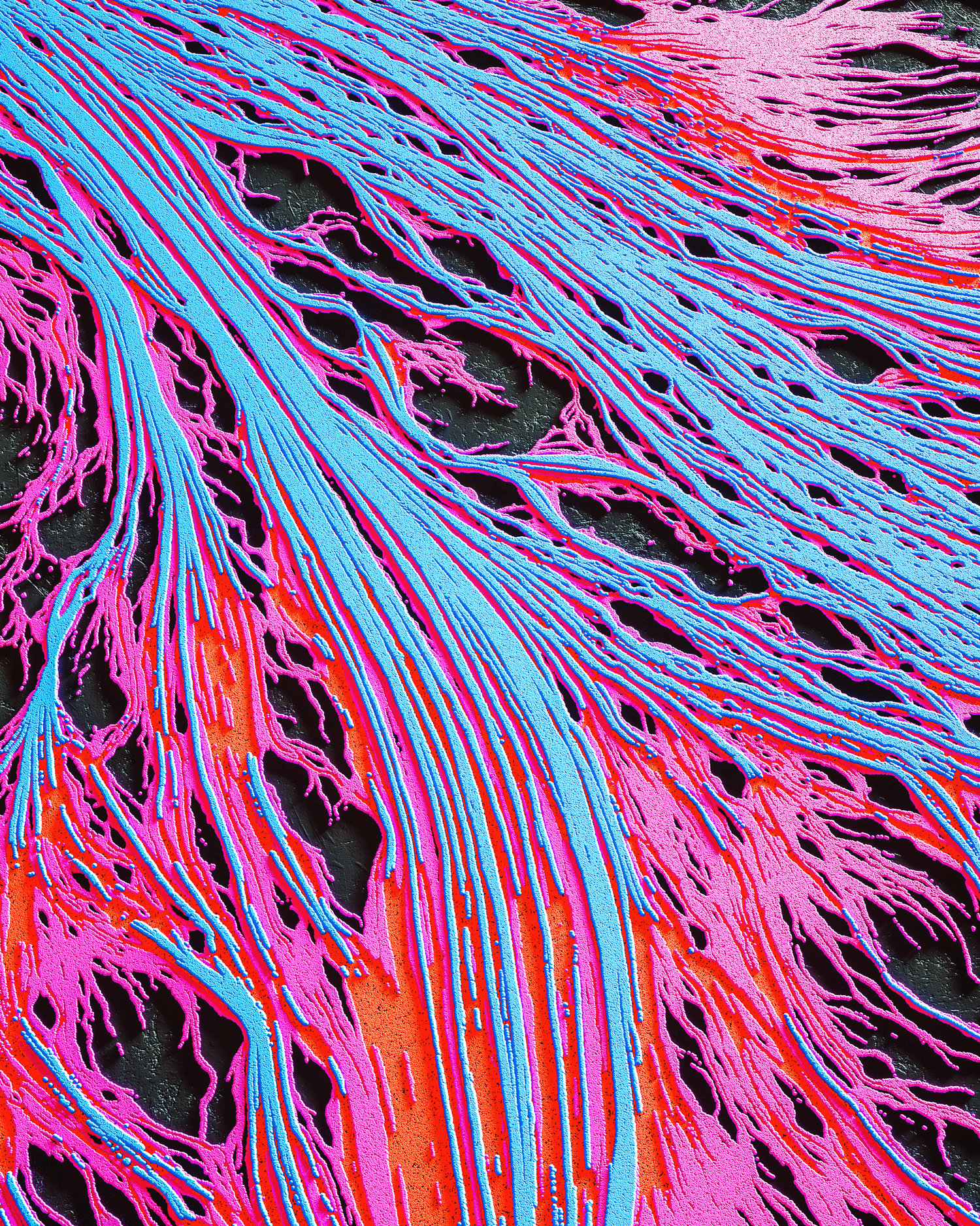 细微脉络彩色立体高清纤维[06-10-17]-20M.jpg