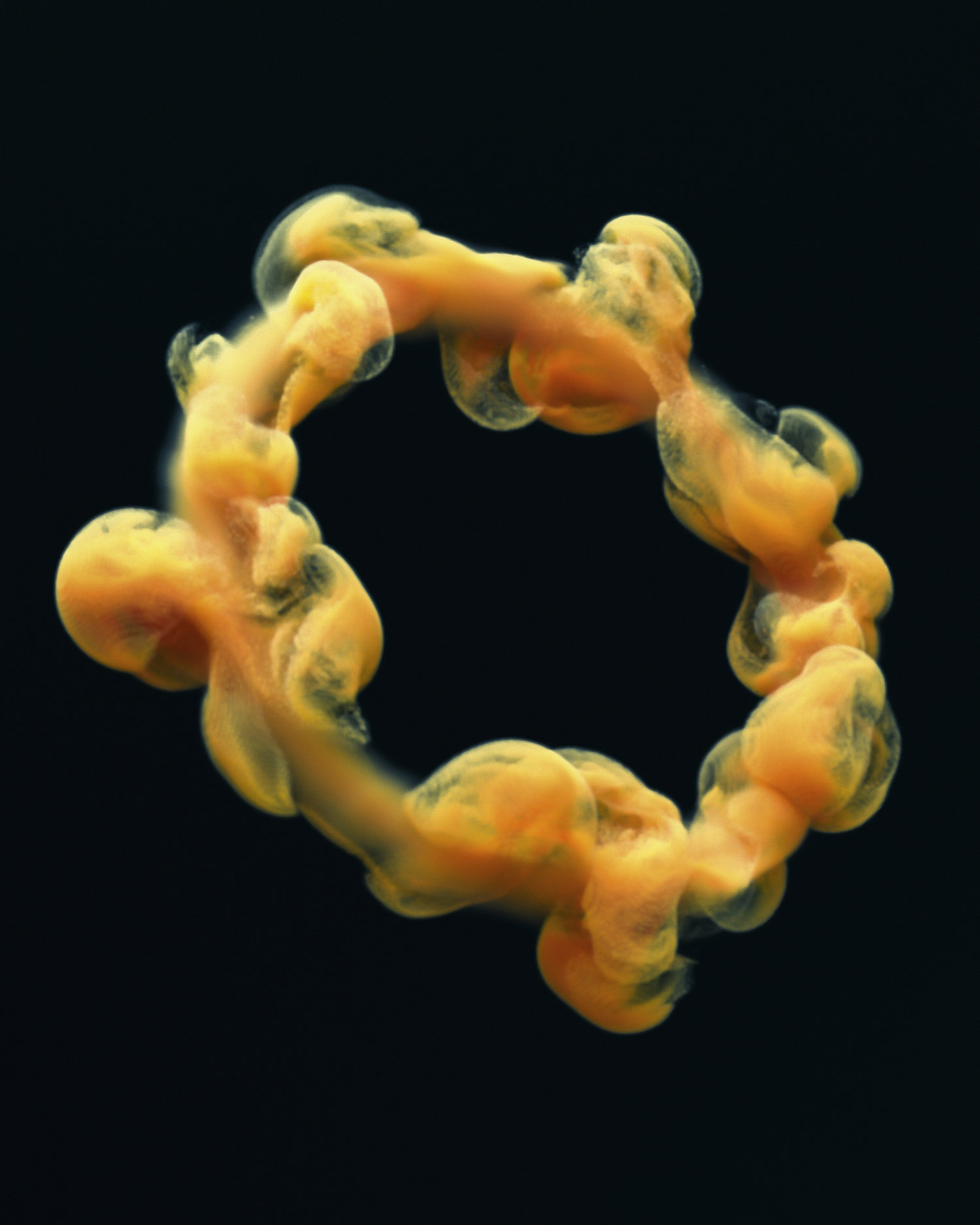 黄色环形真菌浮游生物[14-12-17]-Krippy.jpg
