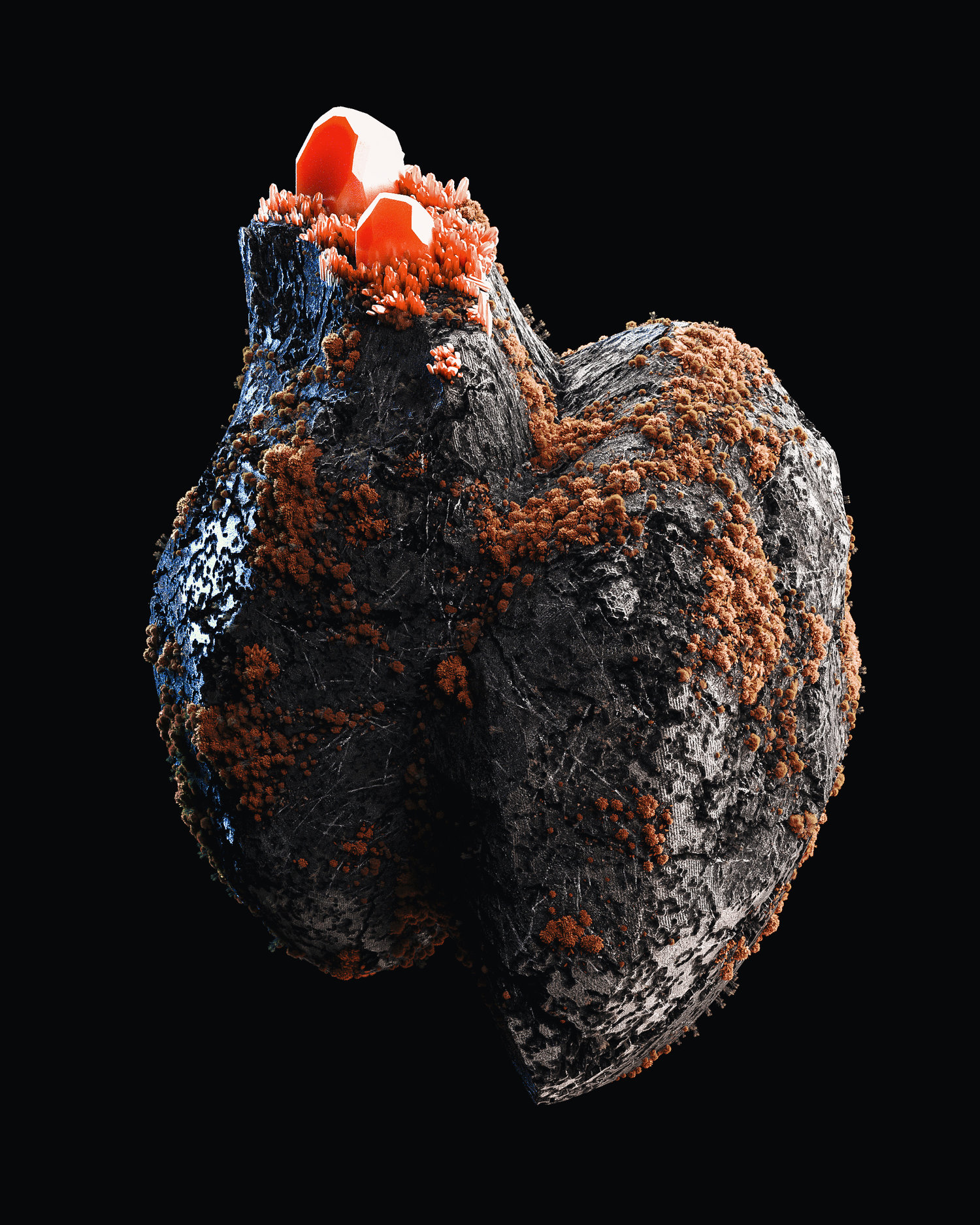 创意菌斑石化人类肺影像[18-01-18]-Lung.jpg