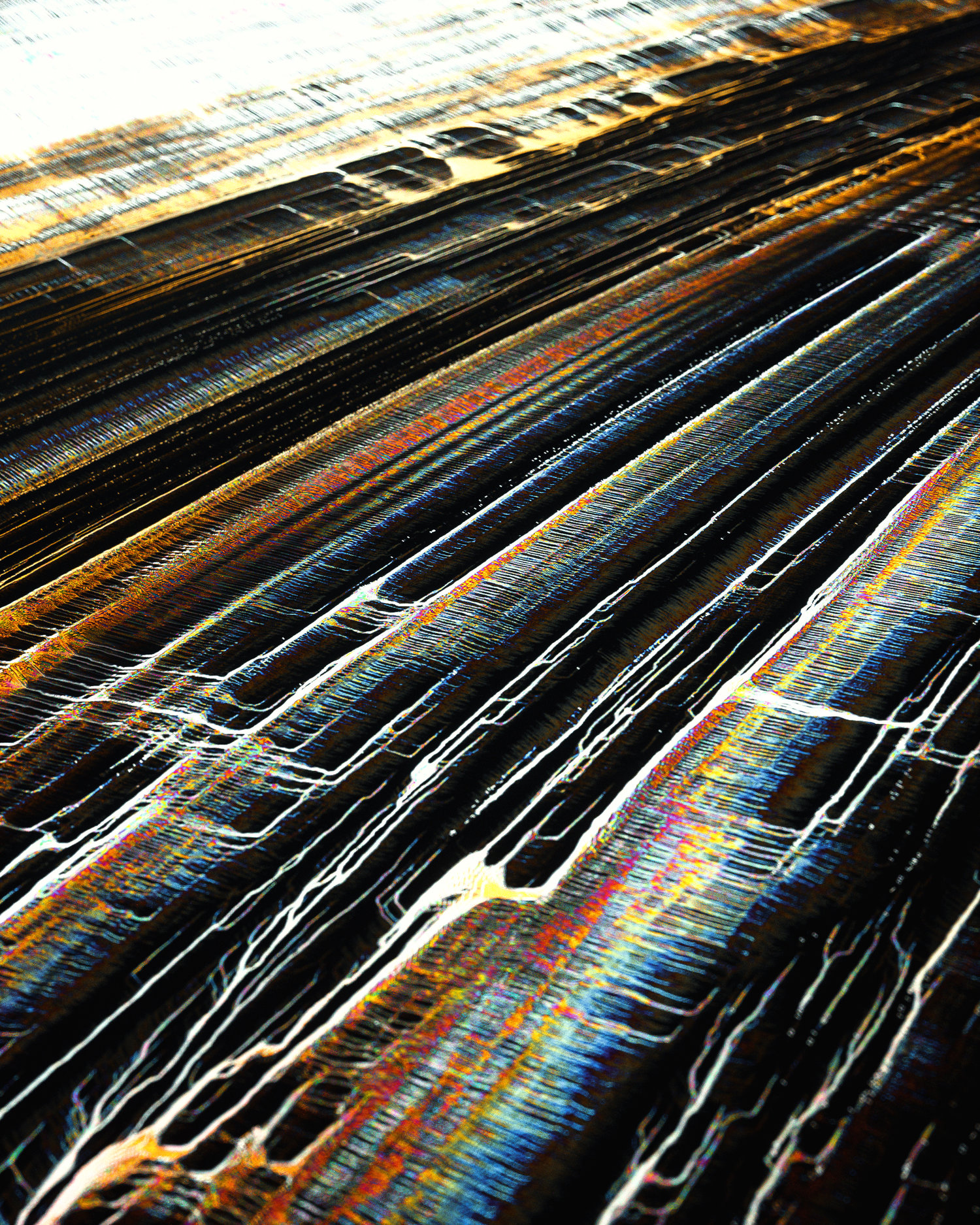 表皮表面高清纤维组织[26-10-17]-Membrane.jpg